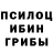 Псилоцибиновые грибы Psilocybine cubensis Basim Annayev