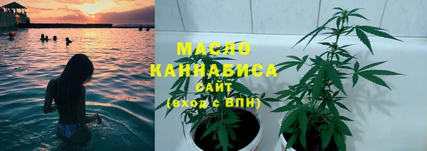 дживик Семилуки