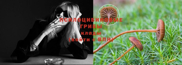крисы Семёнов