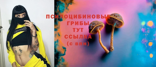 дживик Семилуки