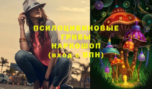 дурь Киреевск