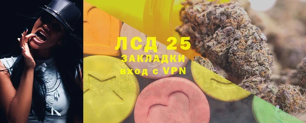 дживик Семилуки