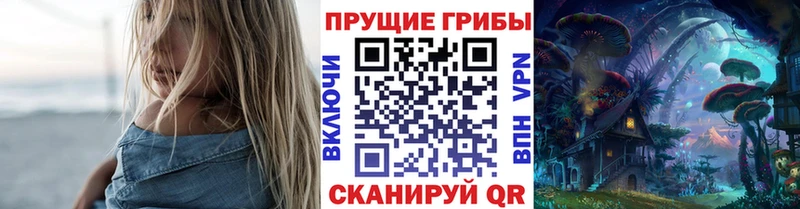 Галлюциногенные грибы GOLDEN TEACHER  ссылка на мегу сайт  Камышлов 