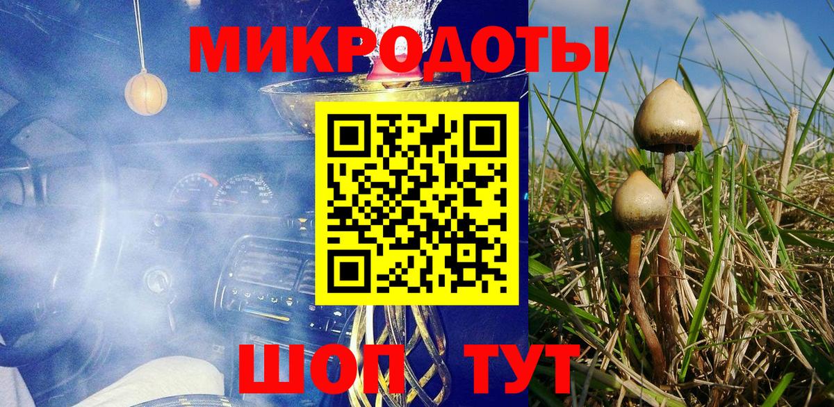 Камышлов  Псилоцибиновые грибы Magic Shrooms  Вход с VPN 
