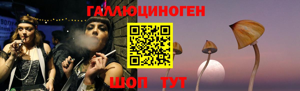 Псилоцибиновые грибы Psilocybe Камышлов