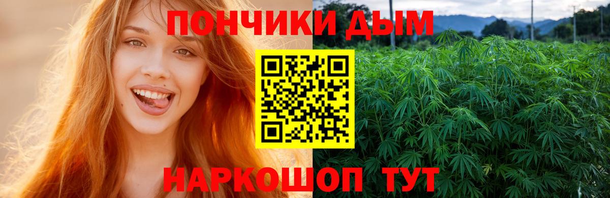 Бошки Шишки семена  Каннабис тримм  Вход с VPN  Камышлов  Шишки марихуана конопля 